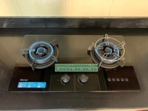 Bếp gas âm Rinnai RVB-220G(BG)/220G(B) - 21