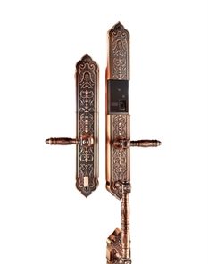 Khóa cửa vân tay - App Wifi tân cổ điển Demax SL838AC màu đồng thau - Của Đức