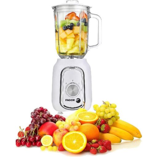 MÁY XAY SINH TỐ FAGOR FG2140 - 1