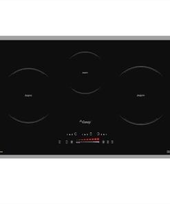 Bếp Từ Canzy CZ TL67GA