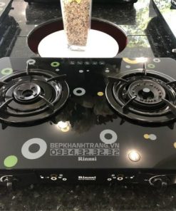 Bếp Gas Rinnai RV-615Slim(GL-D) - 26