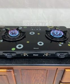 Bếp Gas Rinnai RV-615Slim(GL-D) - 18