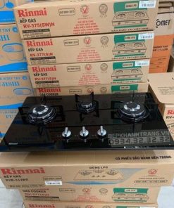 Bếp Gas Âm Rinnai RVB-312BG - 18 Bếp Gas Âm Rinnai RVB-312BG - 17