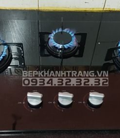 Bếp Gas Âm Rinnai RVB-312BG - 22 Bếp Gas Âm Rinnai RVB-312BG - 21