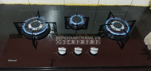 Bếp Gas Âm Rinnai RVB-312BG - 11