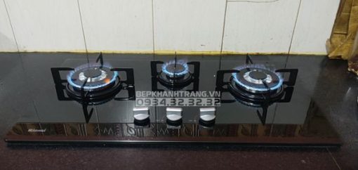 Bếp Gas Âm Rinnai RVB-312BG - 9
