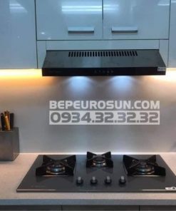 Máy Hút Mùi Eurosun EH-60CF19S - 200 Máy Hút Mùi Eurosun EH-60CF19S - 199