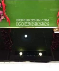 Bếp Từ Eurosun EU-T705 PLUS - 41