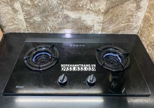 Bếp Gas Âm Rinnai RVB-2i(AB) - 15
