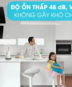 Máy hút khử mùi PRAMIE DE22-700