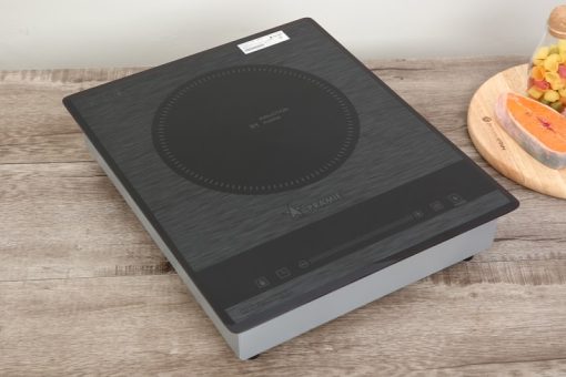 Bếp từ đơn PRAMIE PRMY 1105