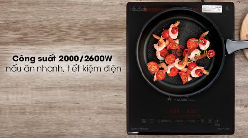 Bếp từ đơn PRAMIE PRMY 1108
