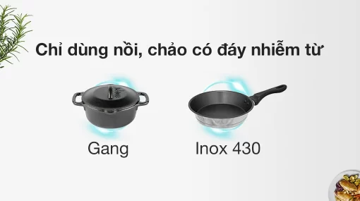 Bếp từ đôi PRAMIE PRMY-2205