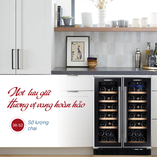 TỦ RƯỢU 2 CÁNH ÂM TỦ ROSIERES RWCB60D/N - 11