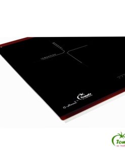 Bếp từ TOMATE GH DUO-S2I
