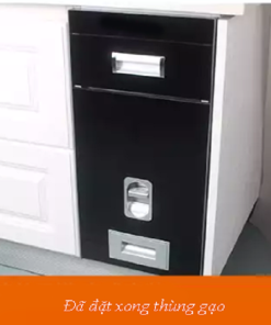 Thùng gạo mặt gương INOXEN RBK-300B