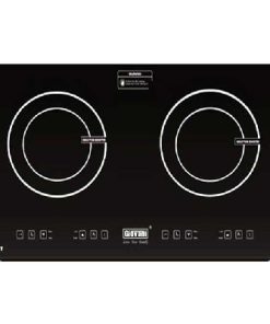 Bếp Từ Giovani G-282T