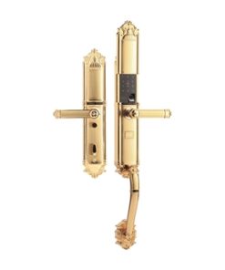 Khóa vân tay đại sảnh tân cổ Demax SL821 Gold - Của Đức - 10 Khóa vân tay đại sảnh tân cổ Demax SL821 Gold - Của Đức - 9