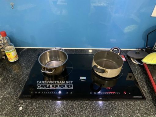 Bếp Từ Canzy CZ TL869D - 12