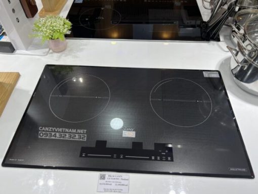 Bếp Điện Từ Canzy CZ TL867DT - 5