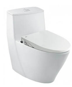 Bàn cầu kết hợp nắp rửa cơ INAX AC-919R+CW-S15VN