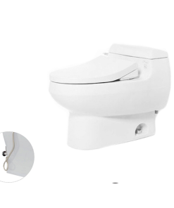 Bàn cầu một khối nắp đóng êm kèm vòi rửa nước lạnh TCW1211A TOTO MS904E4