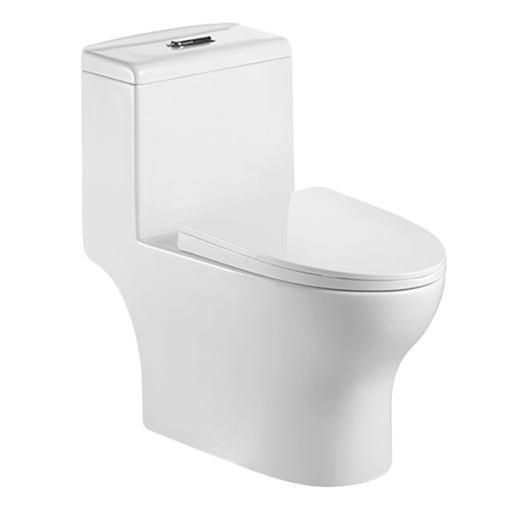 Bồn cầu 1 khối Basics TIDE - 1