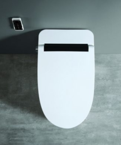 Bồn cầu chăm sóc thông minh Basics 900S