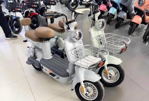 XE ĐẠP ĐIỆN MÀU TRẮNG - 1