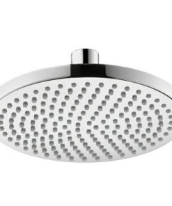 Sen đầu Croma 160 MS: 589.29.598