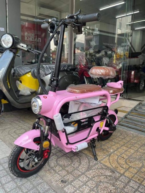 XE ĐẠP ĐIỆN LIHAZE MÀU XANH - 9