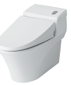 Bàn cầu 1 khối Inax AC-1008VRN