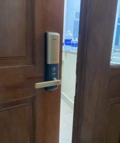 Khóa điện tử vân tay Hafele EL9000 Màu vàng 912.05.376 - 17