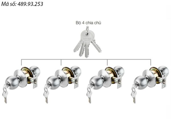 Bộ 4 khóa tròn và chìa chủ Häfele DIY 489.93.253
