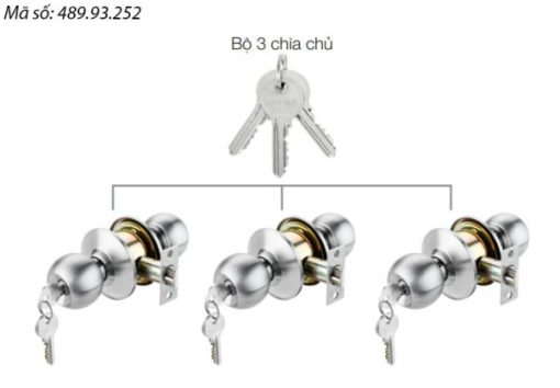 Bộ 3 khóa tròn và chìa chủ Häfele DIY 489.93.252 - 1