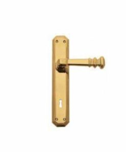 Tay nắm gạt đế dài cổ điển Hafele 901.98.957