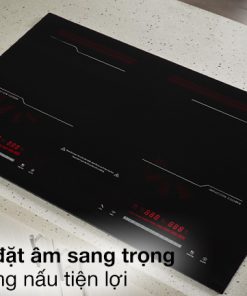 BẾP ĐIỆN TỪ ĐÔI JUNGER MK-22