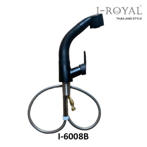 VÒI RỬA CHÉN NÓNG LẠNH SƠN TĨNH ĐIỆN ĐEN I-ROYAL I-6008B - 1