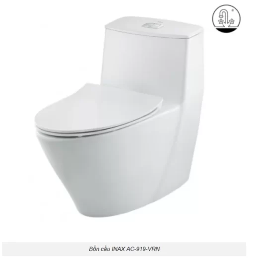 Bồn Cầu INAX AC-919VRN 1 Khối - 11
