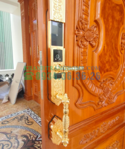 Khóa đại sảnh biệt thự cao cấp DEMAX SL988 GOLD APP WIFI tiêu chuẩn Đức - 27