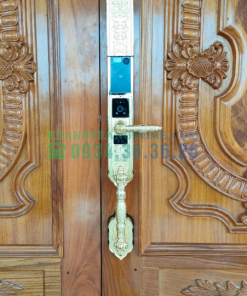 Khóa đại sảnh biệt thự cao cấp DEMAX SL988 GOLD APP WIFI tiêu chuẩn Đức - 29