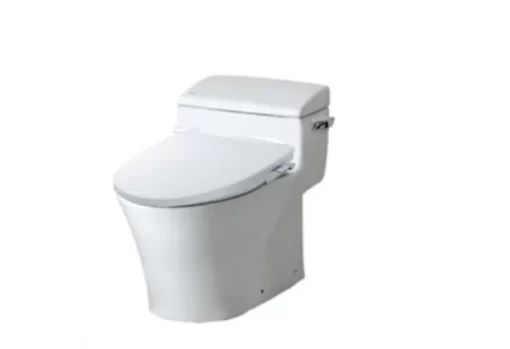 Bồn Cầu INAX AC-1017R/CW-S32VN 1 Khối Nắp Rửa Cơ - 5