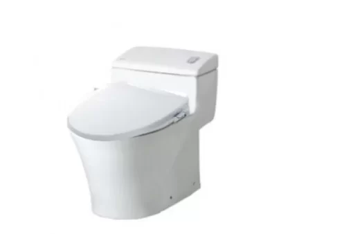 Bồn Cầu INAX AC-1008R/CW-S32VN 1 Khối Nắp Rửa Cơ - 5