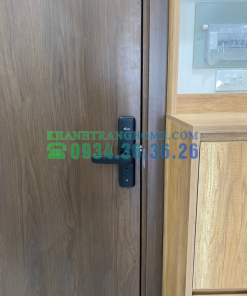 Khóa thông minh DEMAX SL268 BN tiêu chuẩn Đức - 57