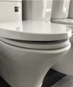 Bồn Cầu INAX AC-504A/CW-S15VN 2 Khối Nắp Rửa Cơ - 14 Bồn Cầu INAX AC-504A/CW-S15VN 2 Khối Nắp Rửa Cơ - 13