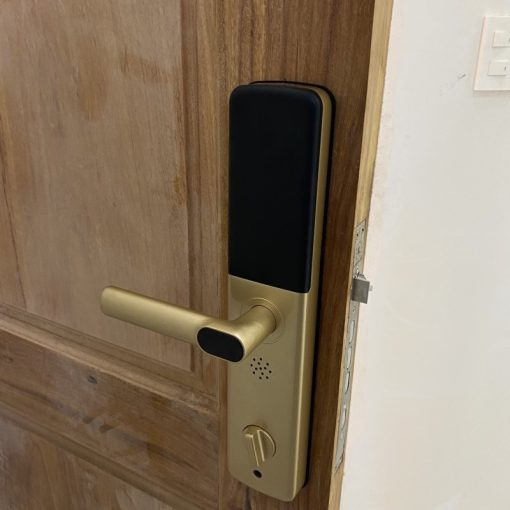 KASSLER KL-678 GOLD