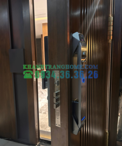 Khóa thông minh DEMAX SL968 CNC GREY tiêu chuẩn Đức - 39