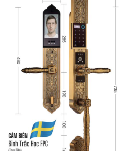 KHÓA ĐẠI SẢNH BIỆT THỰ DEMAX SL988 GB APP WIFI