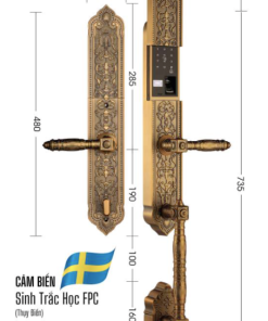 KHÓA ĐẠI SẢNH BIỆT THỰ DEMAX SL888 GB APP WIFI