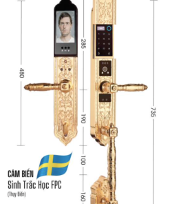 KHÓA ĐẠI SẢNH BIỆT THỰ CAO CẤP DEMAX SL986 GOLD APP WIFI